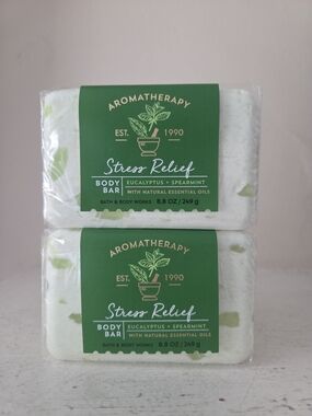 2- Bath & Body Works Aromatherapy Stress Relief Bar Soap eucalyptus + spearmint